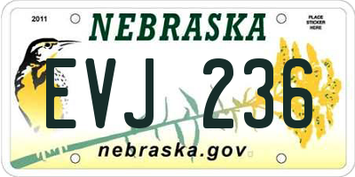 NE license plate EVJ236