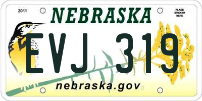 NE license plate EVJ319