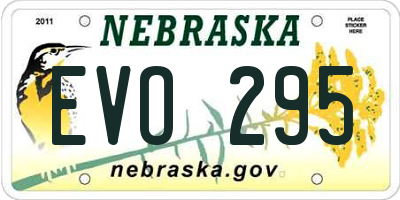 NE license plate EVO295