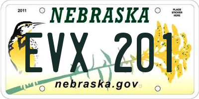 NE license plate EVX201