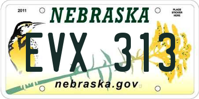 NE license plate EVX313