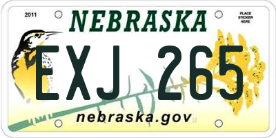 NE license plate EXJ265