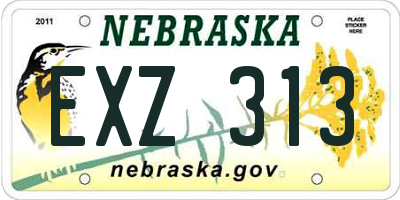 NE license plate EXZ313