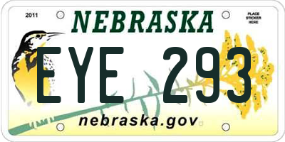 NE license plate EYE293