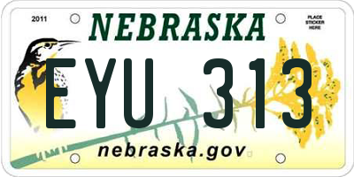 NE license plate EYU313
