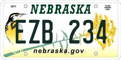 NE license plate EZB234