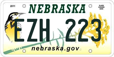 NE license plate EZH223