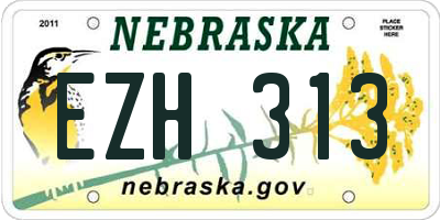 NE license plate EZH313