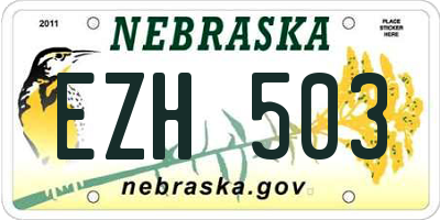 NE license plate EZH503