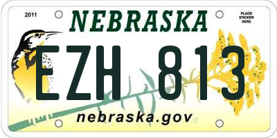 NE license plate EZH813