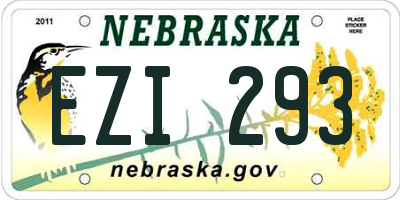 NE license plate EZI293