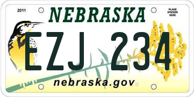 NE license plate EZJ234