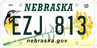 NE license plate EZJ813
