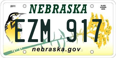 NE license plate EZM917