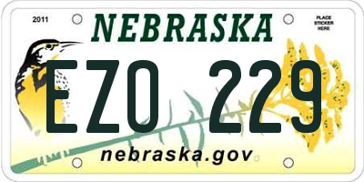 NE license plate EZO229