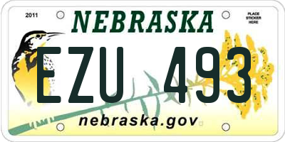 NE license plate EZU493