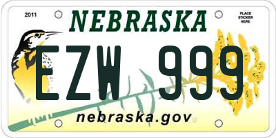 NE license plate EZW999
