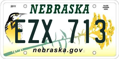 NE license plate EZX713