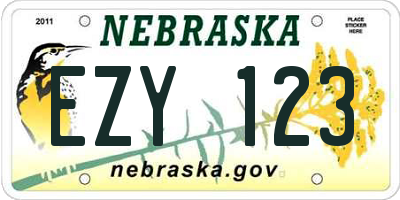 NE license plate EZY123