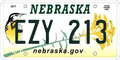 NE license plate EZY213