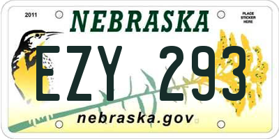 NE license plate EZY293