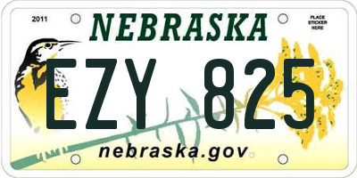 NE license plate EZY825