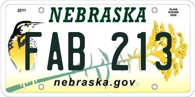 NE license plate FAB213