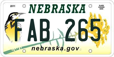 NE license plate FAB265