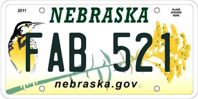 NE license plate FAB521