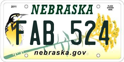 NE license plate FAB524