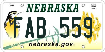 NE license plate FAB559