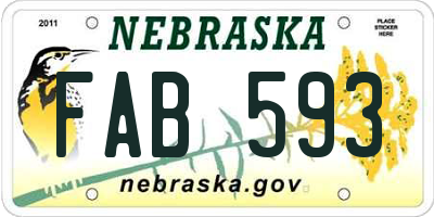 NE license plate FAB593