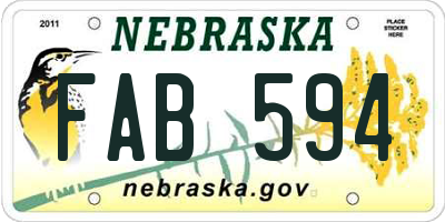 NE license plate FAB594