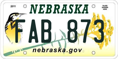 NE license plate FAB873