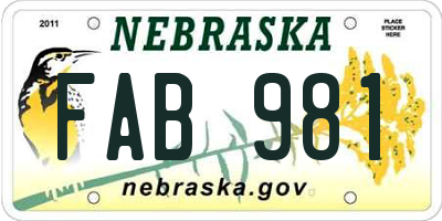NE license plate FAB981