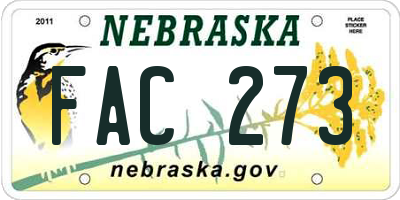 NE license plate FAC273