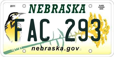 NE license plate FAC293