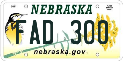 NE license plate FAD300