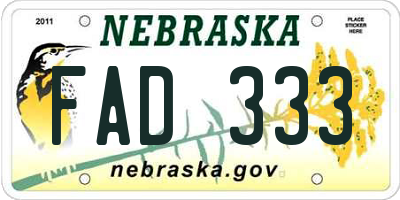 NE license plate FAD333