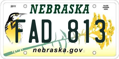 NE license plate FAD813