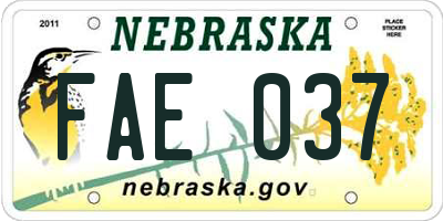 NE license plate FAE037