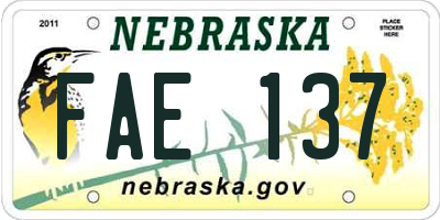 NE license plate FAE137