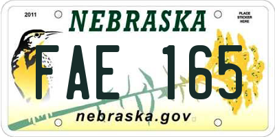 NE license plate FAE165