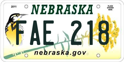 NE license plate FAE218