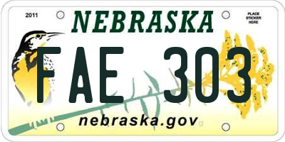 NE license plate FAE303