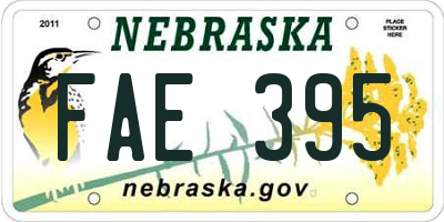 NE license plate FAE395