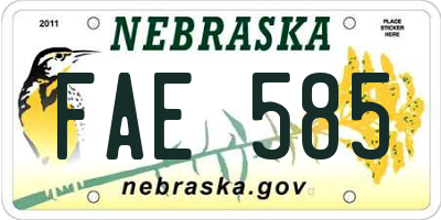 NE license plate FAE585