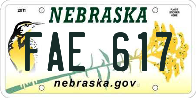 NE license plate FAE617