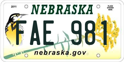NE license plate FAE981