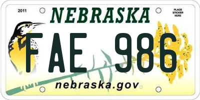 NE license plate FAE986